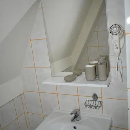 Pansion Zlatna Zita 3* 자호리나