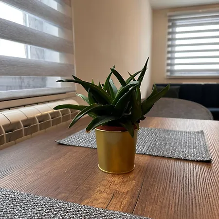 Pansion Zlatna Zita B&B 자호리나