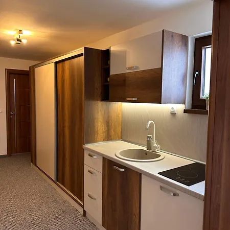 Pansion Zlatna Zita B&B 자호리나