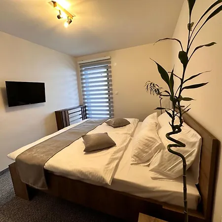 Pansion Zlatna Zita B&B 자호리나