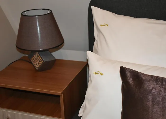 Bed & Breakfast Pansion Zlatna Zita Jahorina