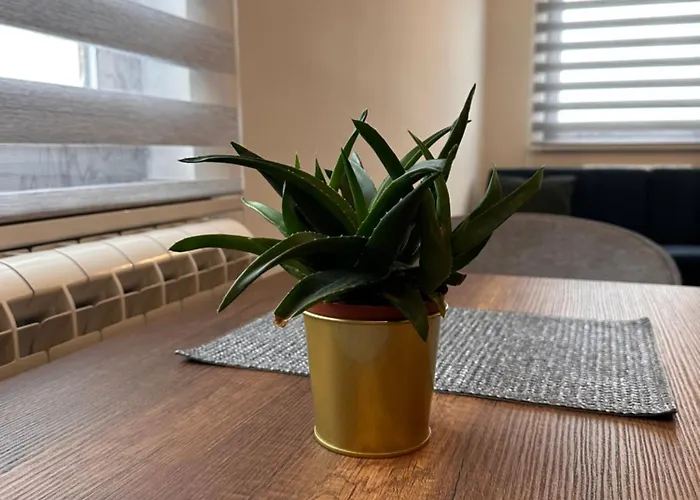 Pansion Zlatna Zita Bed & Breakfast Jahorina