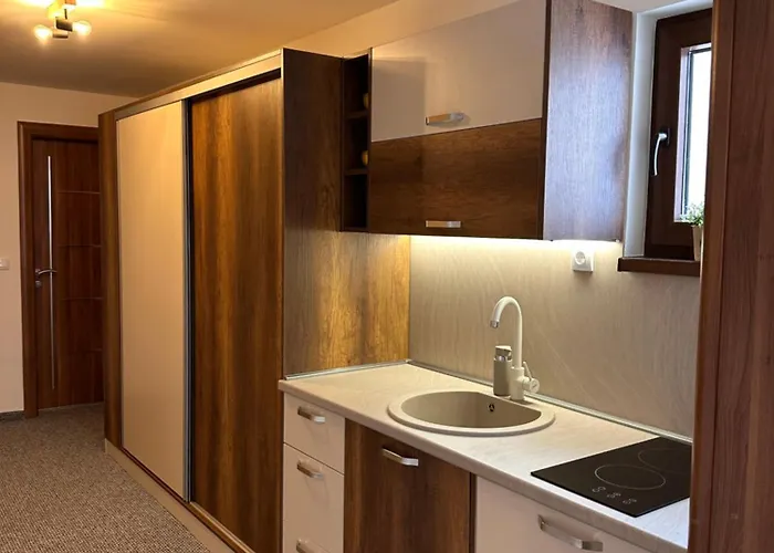 Pansion Zlatna Zita Bed & Breakfast Jahorina