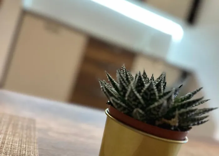 Pansion Zlatna Zita 3*