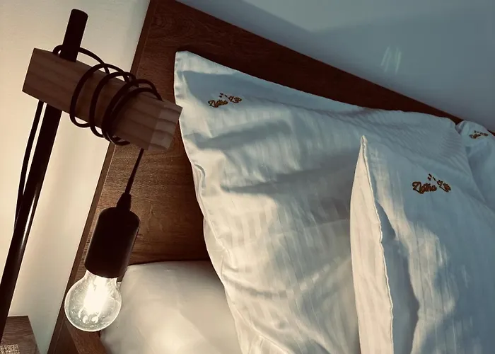 Pansion Zlatna Zita 3*