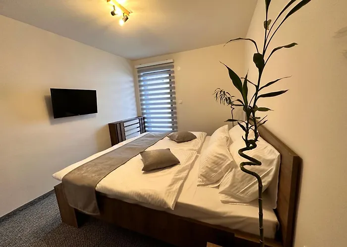 Pansion Zlatna Zita Bed & Breakfast Jahorina